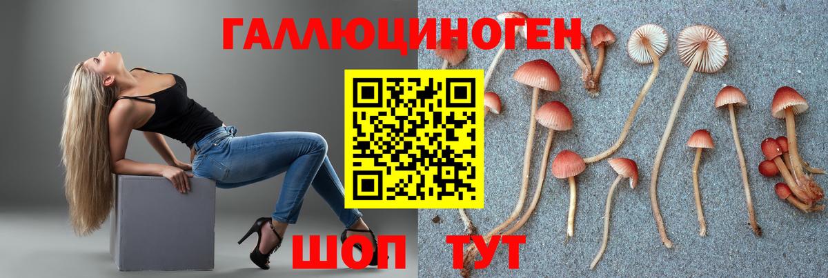 Псилоцибиновые грибы MAGIC MUSHROOMS  Вход с VPN  Кашира 