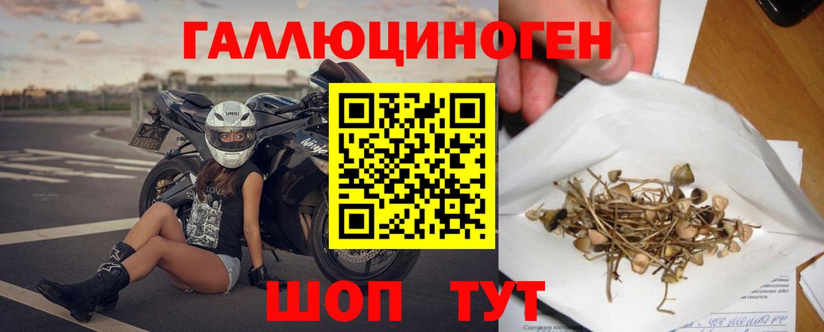 Галлюциногенные грибы GOLDEN TEACHER Кашира